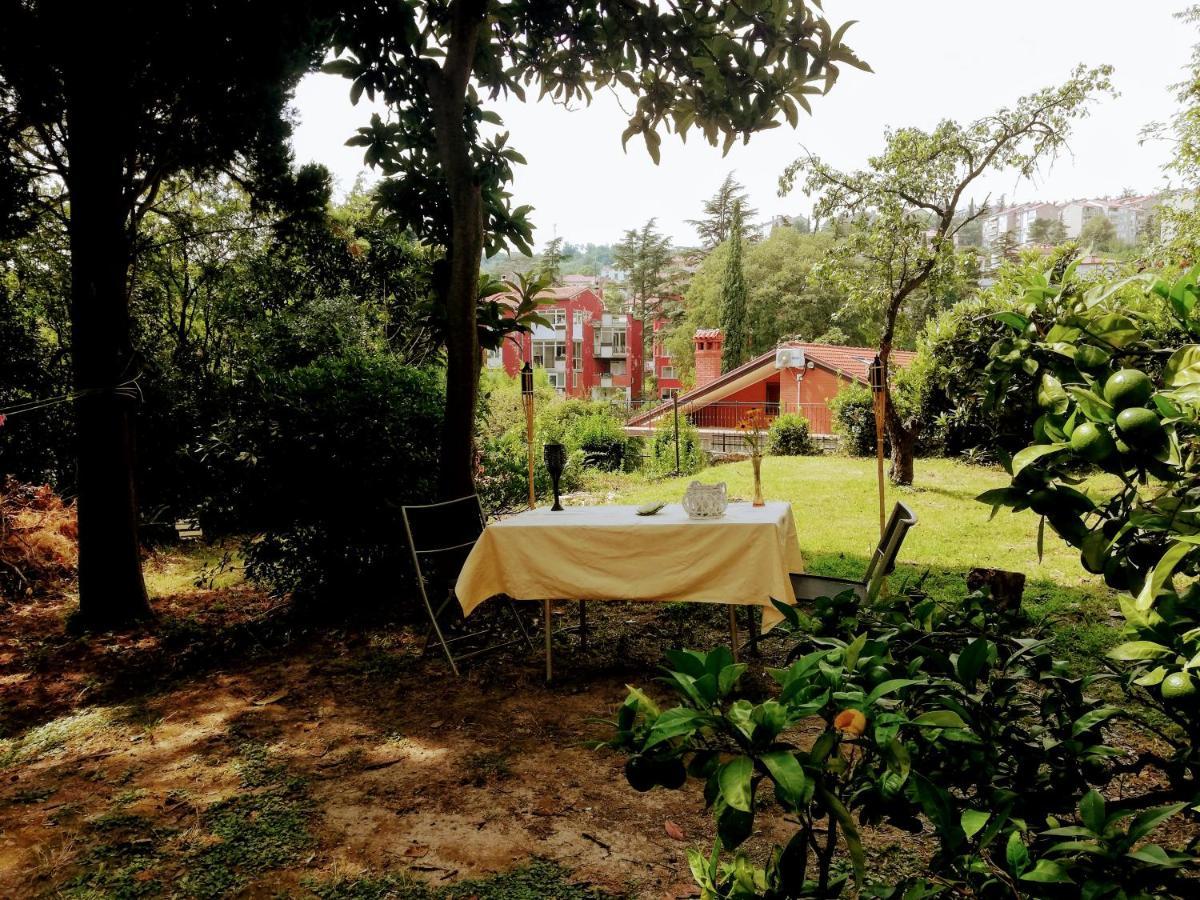 Homestay Holiday's House