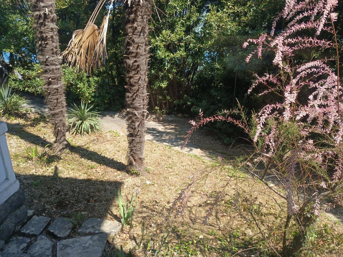 Homestay Holiday's House Koper